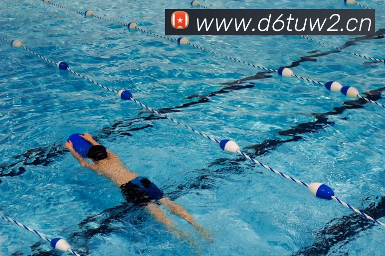 星空体育登录入口网站APP 体育赛事宣传图